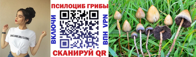 hydra tor  Удомля  Галлюциногенные грибы GOLDEN TEACHER 